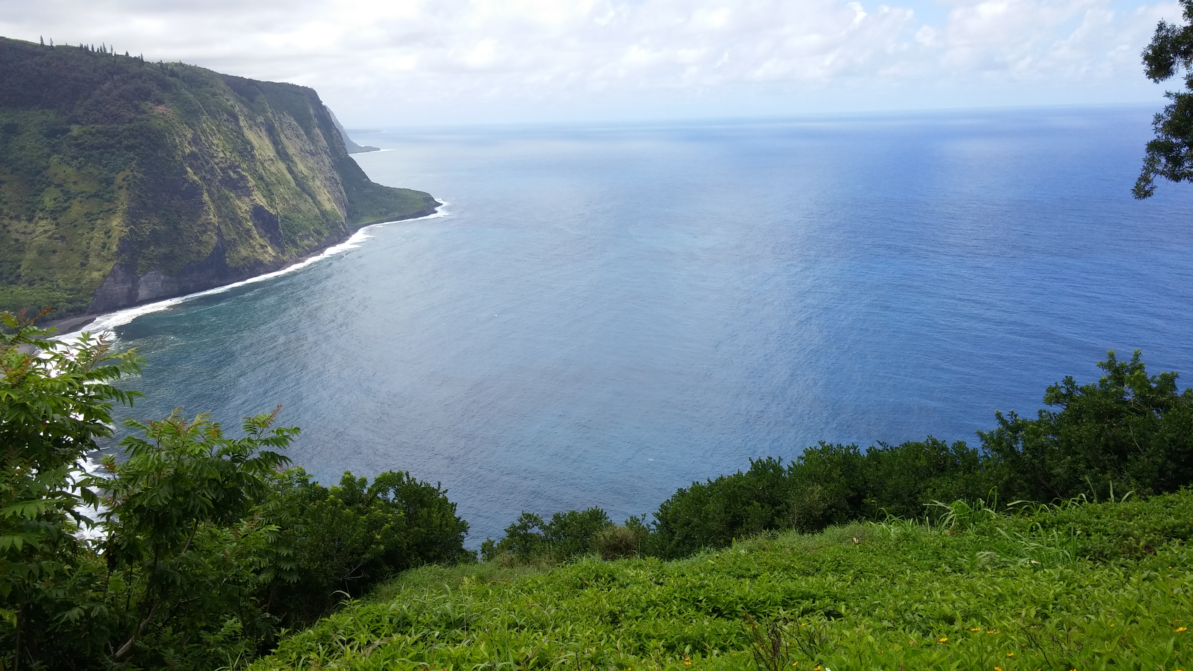 Big Island Hawaii Real Estate Zillow - vt63nuy